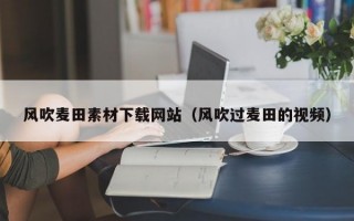 风吹麦田素材下载网站（风吹过麦田的视频）