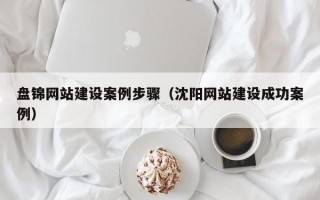 盘锦网站建设案例步骤（沈阳网站建设成功案例）
