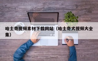 哈士奇视频素材下载网站（哈士奇犬视频大全集）